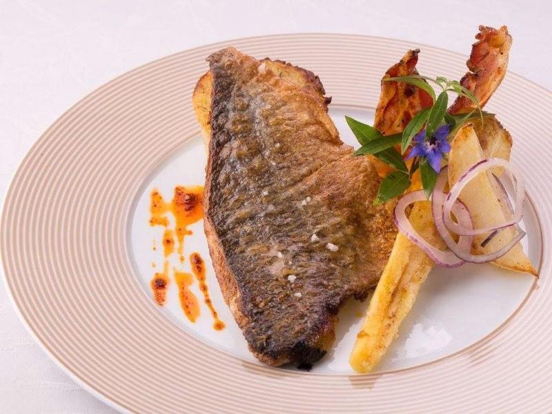 Logis Hotel Restaurant Solenca 노가로 외부 사진